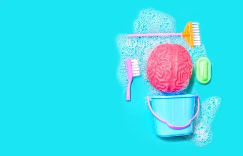 Brain Spring Cleaning: Human Brain Model in Foam with Household Cleaning Tool Stock Photos
