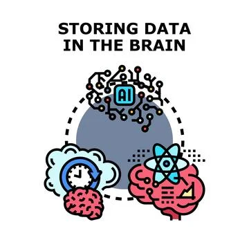 Brain storing data for artificial intelligence and memory Stock Illustration