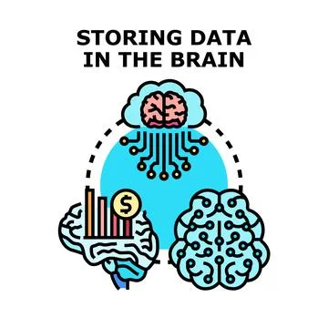 Brain storing data in cloud computing concept Ilustração Stock