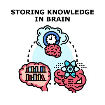 Brain storing knowledge, thinking, learning, and memory concepts Stock Illustration