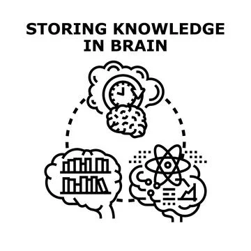 Brain storing knowledge, thinking, learning, and memory concepts Stock Illustration