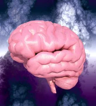 Brain storming Stock Illustration