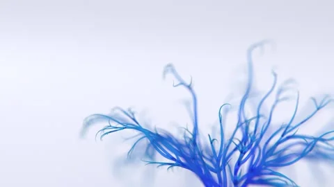 Brain structure formation video | Brain roots like structure formation video Stock Footage 311621724