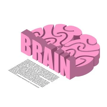 Brain structure of infographics. Brains headache human cortex Stock Illustration