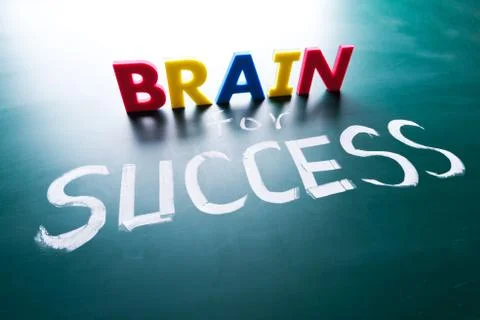 Brain for success concept Fotos Stock