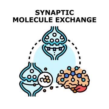 Brain synapse experiencing molecule and neurotransmitter exchange Illustrazione stock