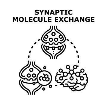 Brain synapse experiencing molecule and neurotransmitter exchange イラスト素材