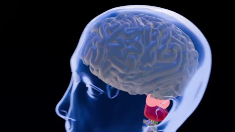 Brain Synapse Stock-Footage 314791263