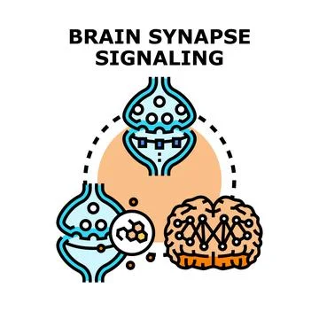 Brain synapse signaling neural network communication concept Stock Illustration