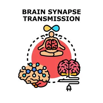 Brain synapse transmission process developing intelligence power Illustrazione stock