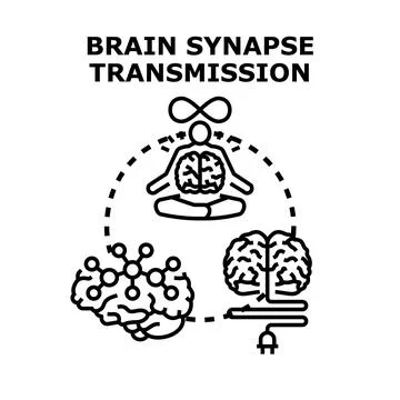Brain synapse transmission process developing intelligence power Stock Illustration