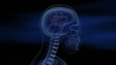 Brain synapses 3d animation Stock Footage 50455425