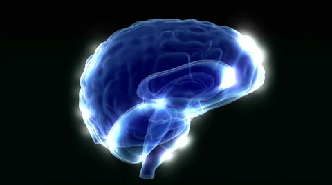 Brain synapses Stock Footage 50540761