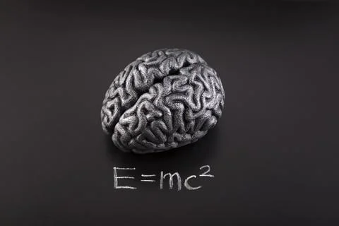 Brain with theory of relativity drawn with chalk on blackboard. Stock Photos