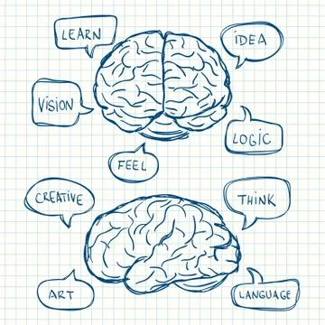 Brain with think bubbles Stock Illustration