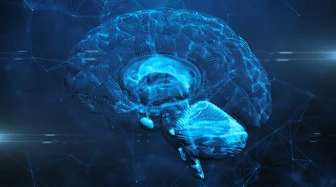 Brain thinking mental cognition of human intelligence creativity thinking  Stock-Illustration