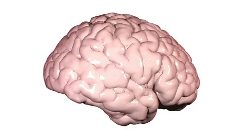 Brain throbbing on white background. Stock Footage 48578021