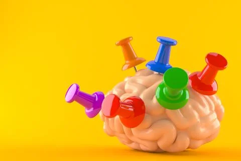 Brain with thumbtacks isoalted Stock Illustration