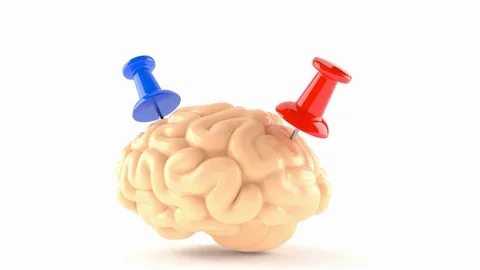Brain with thumbtacks isolated on white background Video stock 71058455