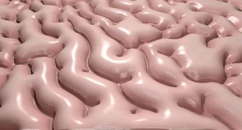 Brain tissue Stock Illustration