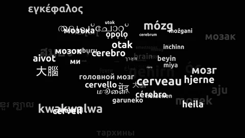 Brain Translated in 68 Worldwide Languages Endless Looping 3d Zooming Wordclo Vídeos de archivo 145208775