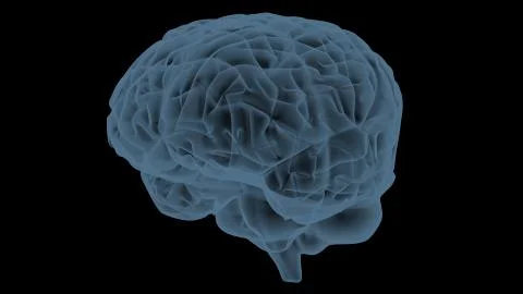Brain transparent xray Illustrazione stock