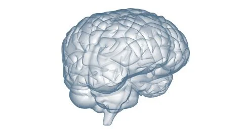 Brain transparent xray Illustrazione stock