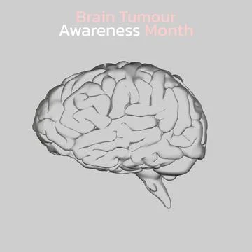 Brain tumour awareness concept text with human brain icon on grey background Stock Illustration