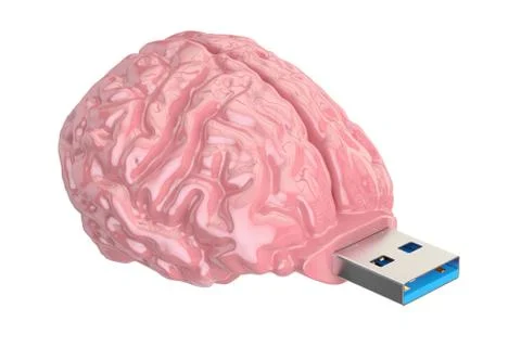 Brain USB flash drive, knowledge concept. 3D illustration Stock Illustration