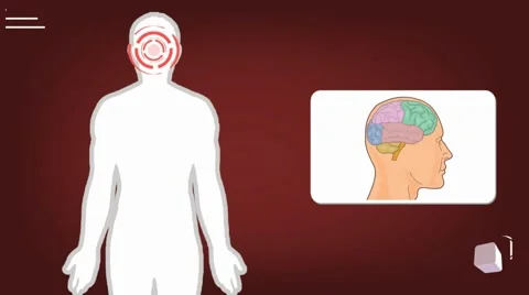 Brain - vector animation - analysis - red Stock Footage 60398241