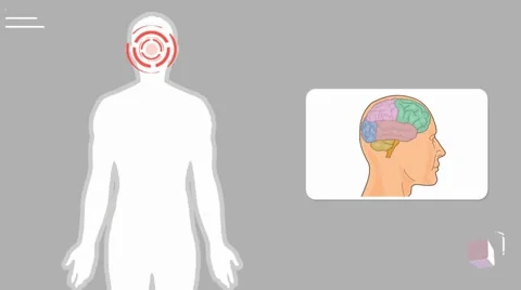 Brain - vector animation - analysis - white Stock Footage 60398231