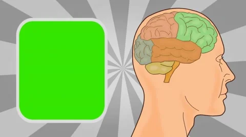 Brain - Vector Animation - Human Body - Sunburst - grey Stock Footage 62598022