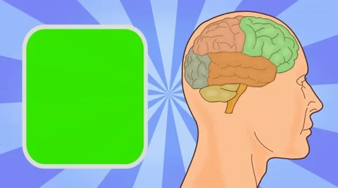 Brain - Vector Animation - Human Body - Sunburst - blue Stock Footage 62598055