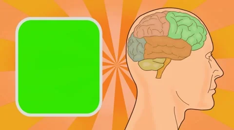 Brain - Vector Animation - Human Body - Sunburst - orange Stock Footage 62598077
