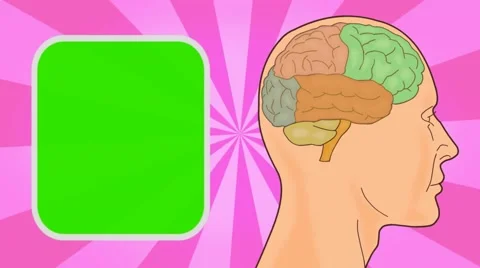Brain - Vector Animation - Human Body - Sunburst - pink Stock Footage 62598080