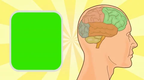 Brain - Vector Animation - Human Body - Sunburst - yellow Stock Footage 62598087