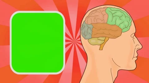 Brain - Vector Animation - Human Body - Sunburst - red Stock Footage 62598090