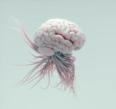 Brain from which the tentacles come out. Negative thoughts, apathy, depress.. Stock Illustration