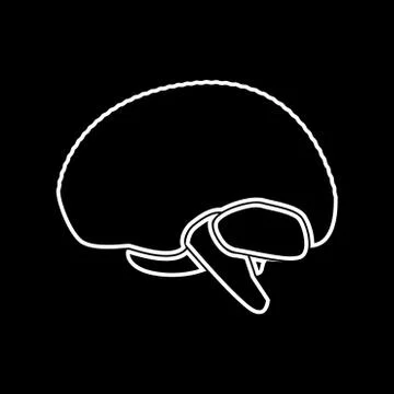 Brain white color icon . Stock Illustration