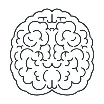 Brain white icon, top view. Mind, creativity and knowledge. Illustrazione stock