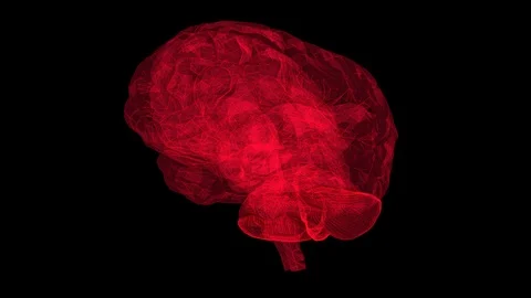 Brain wireframe Stock Footage 89870495
