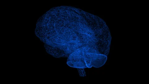 Brain wireframe Stock Footage 89870499