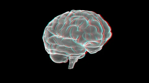 Brain xray - anaglyph Video stock 5164715
