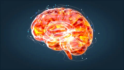 Brain xray, human anatomy, 3D Animated neurons Stock Footage 116881990
