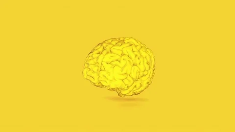 Brain yellow Video stock 154474317