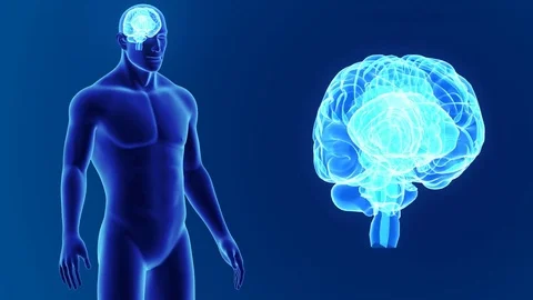 Brain zoom with body Stock Footage