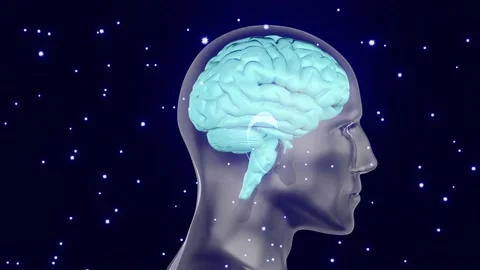 Brain0011200-1800 Stock Footage 147931122