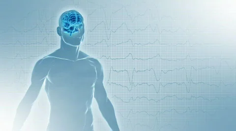 BrainMan Vidéo 608843