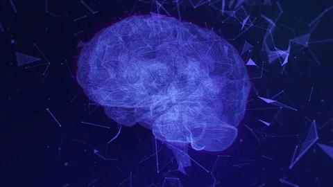 BrainPlexus1 Stock Footage 89871014