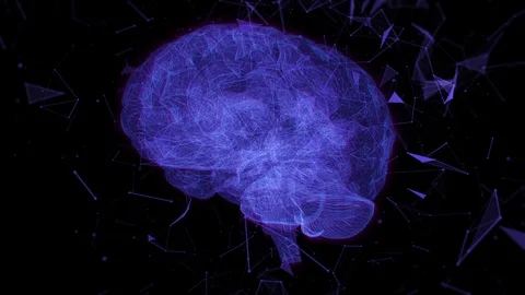 BrainPlexus2 Video stock 89871134
